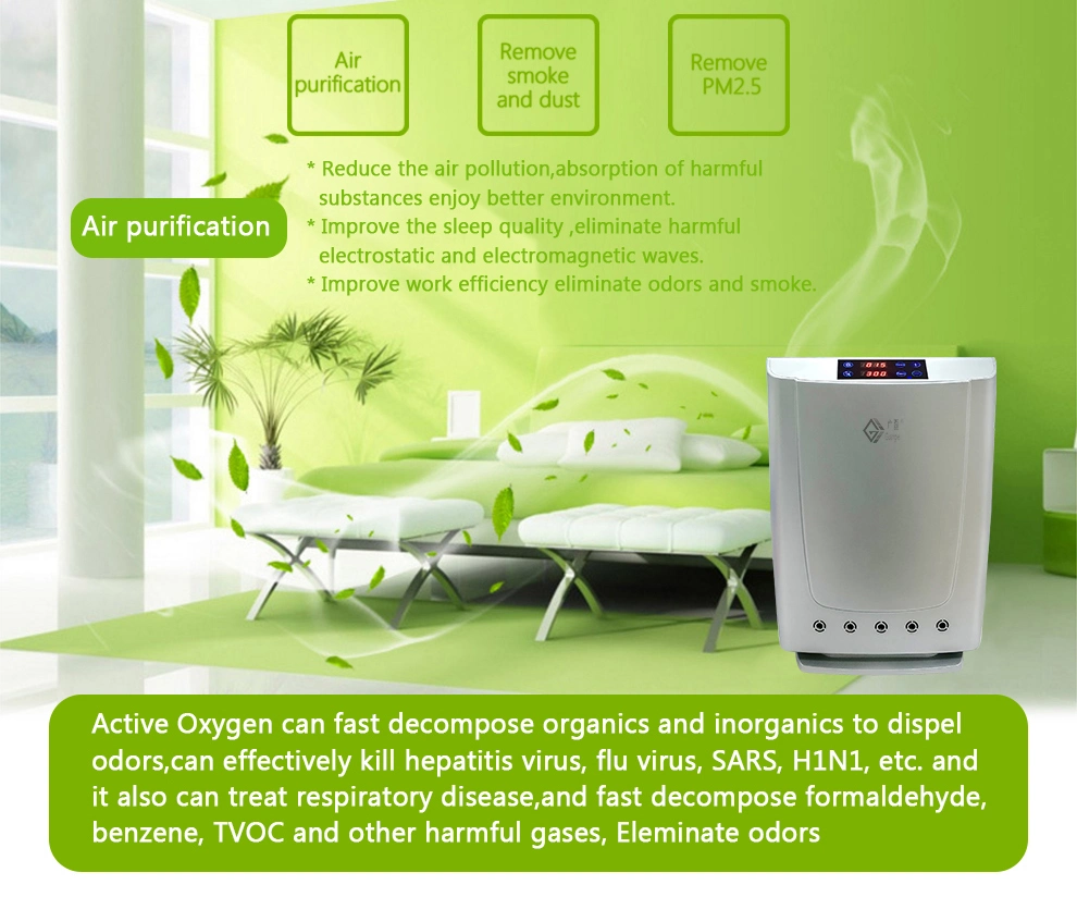 China Factory Air Purifier Plasma Ozone Generator Water Air Purifier