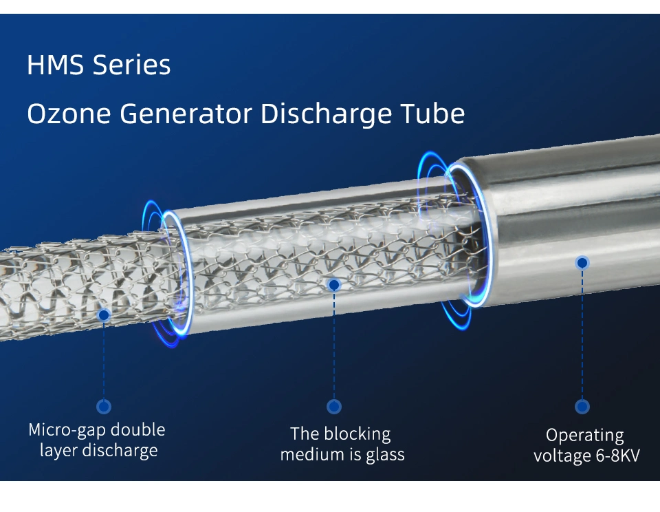 High-Capacity Large Ozone Generator for Large-Scale Water Treatment 10kg