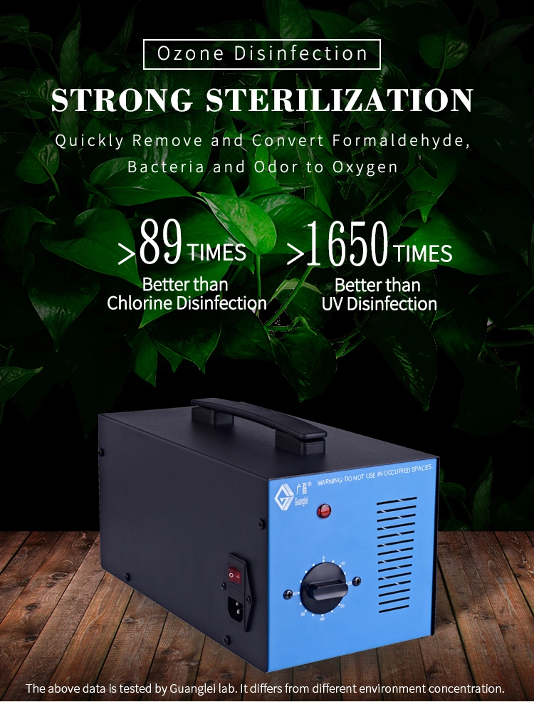 220V 500mg/H Commercial Ozone Generator Air Water Sterilizer Purifier with 10 20 30 40 50 60-Min Timer