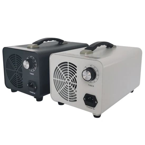 Hochwertiger tragbarer Ozongenerator Ozonator 220 V 110 V für Luft