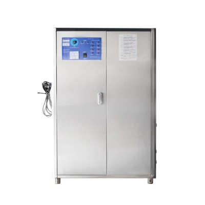 Industrieller Ozongenerator, 40 g/h, Trinkwasseraufbereitung, Ozongenerator, Luftquellen-Desinfektionsmaschine, Abwasser, Wasseraufbereitung, Ozongenerator für Aquakultur